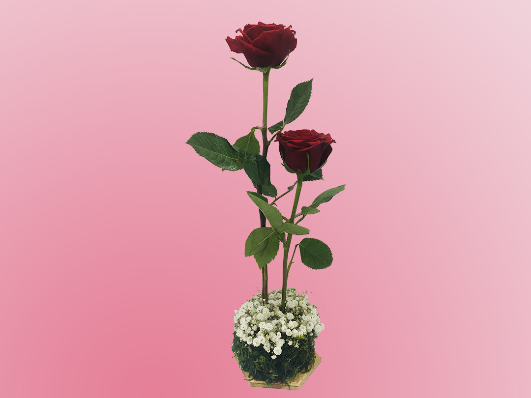2 Pieces Rose Arrangement