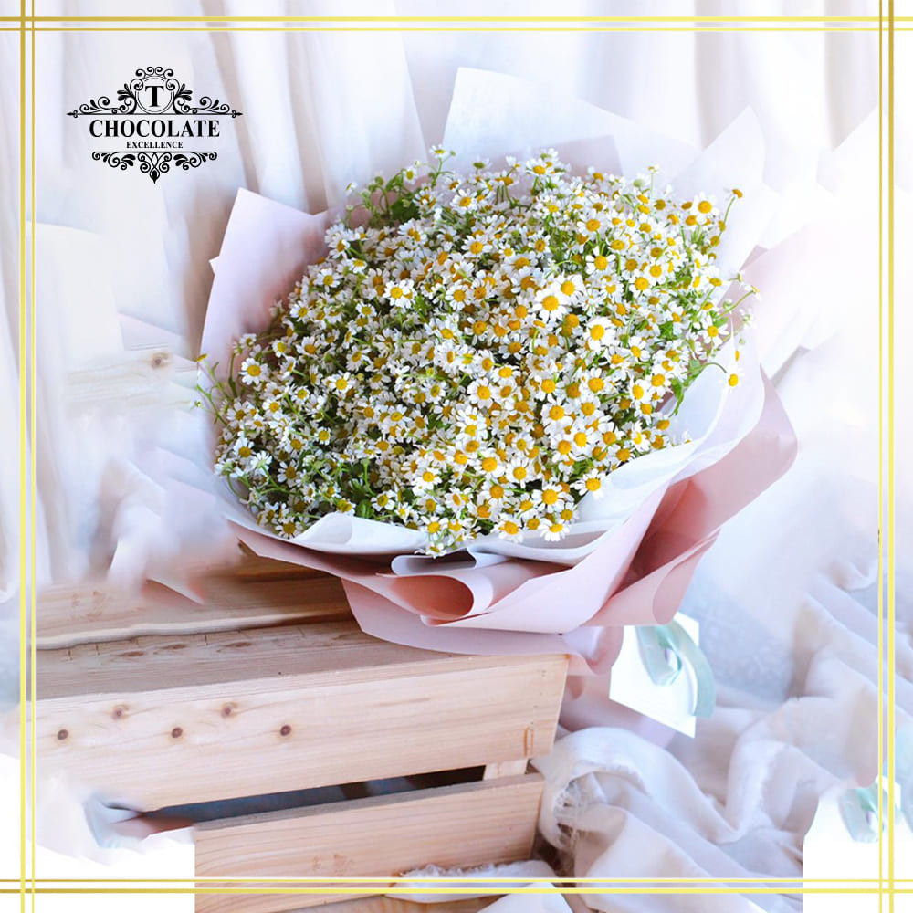 Chamomile Daisy Bouquet
